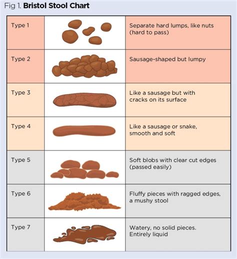 tests for soft stool|stool test results chart.